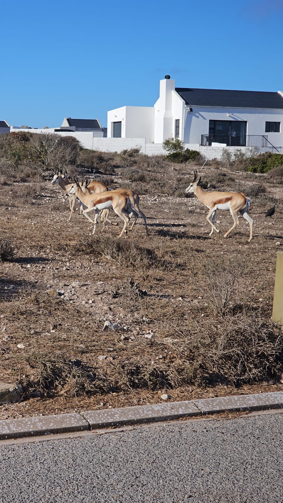 3 Bedroom Property for Sale in Hoogland Western Cape